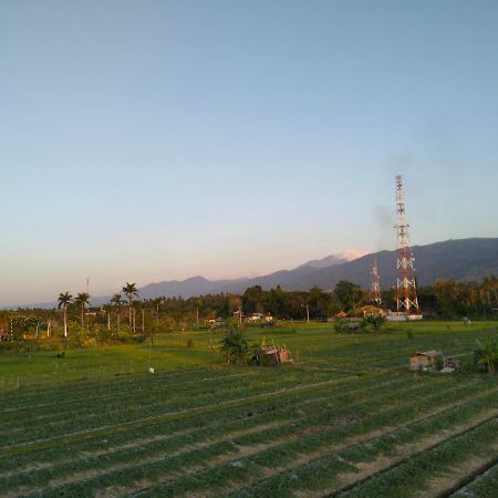 Villa Bintang 罗威那 外观 照片