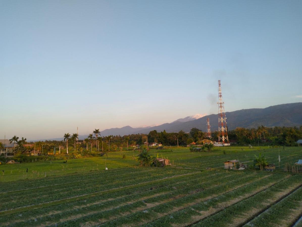 Villa Bintang 罗威那 外观 照片